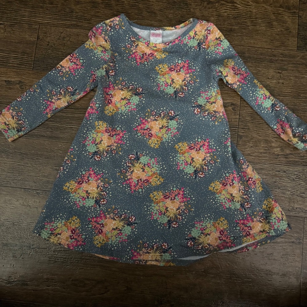 Ric Rac and Ruffles Girls‎ 4T Blue Floral Long Sleeve Dress, Cute Casual Outfit